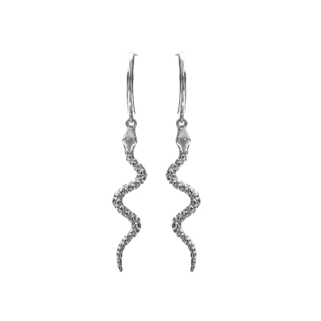 zilveren oorbellen met slangen bedeltjes stainless steel
